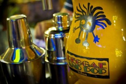 Logo-Reggae-and-Pop