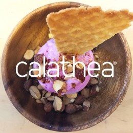 Logo-Calathea