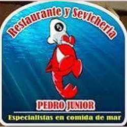 Logo-Pedro-Junior