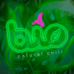 Logo-Bio-Natural-Chill